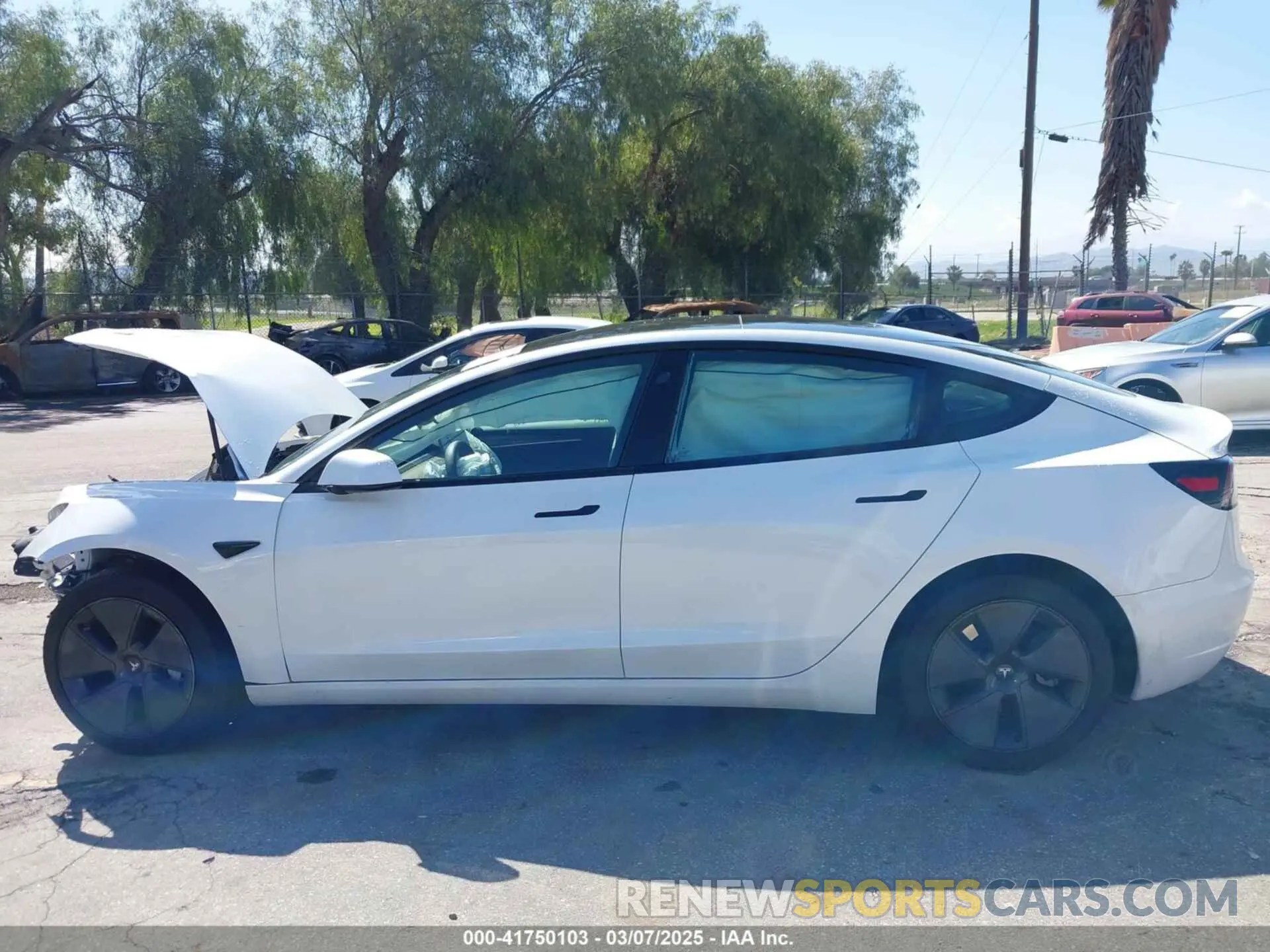 14 fotografías del automóvil dañado 5YJ3E1EA4PF462627 TESLA MODEL 3 2023
