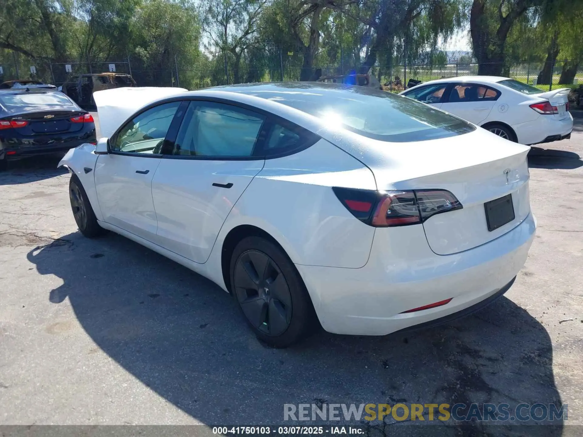3 fotografías del automóvil dañado 5YJ3E1EA4PF462627 TESLA MODEL 3 2023
