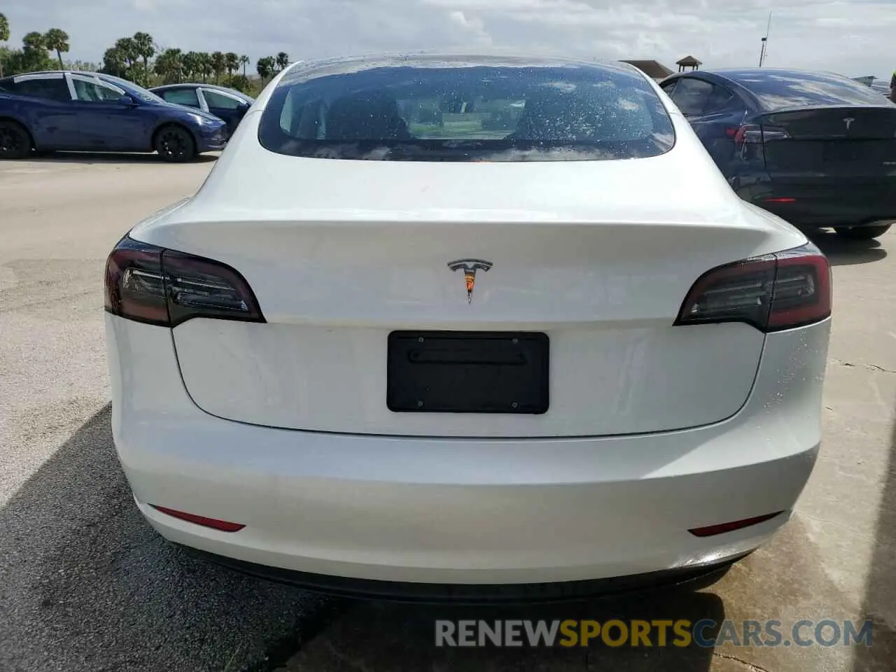 6 fotografías del automóvil dañado 5YJ3E1EA4PF484725 TESLA MODEL 3 2023