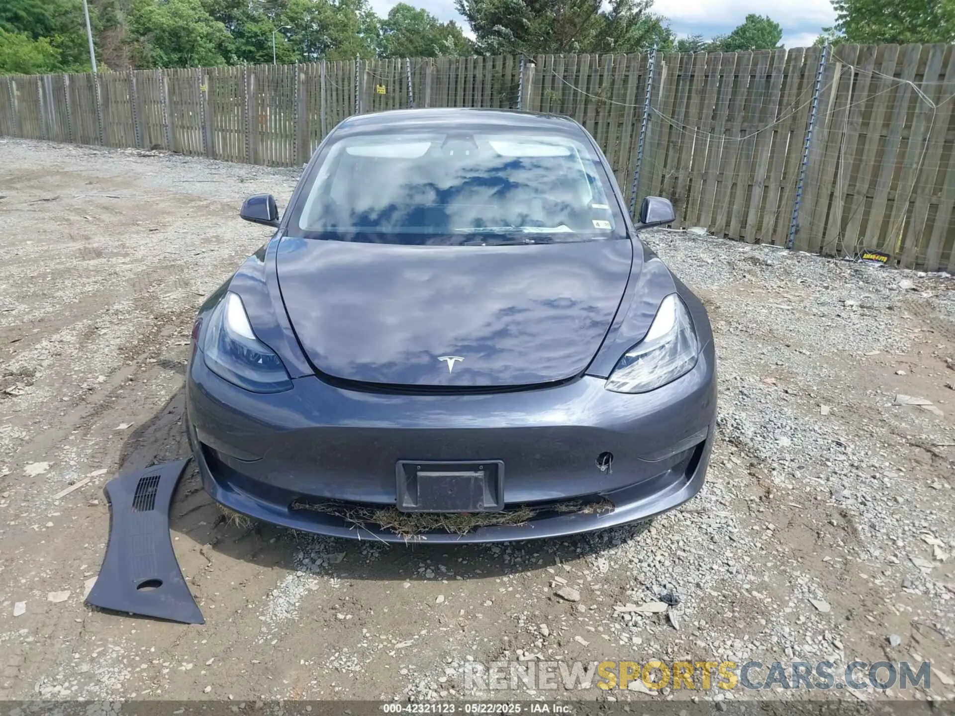 12 fotografías del automóvil dañado 5YJ3E1EA4PF515844 TESLA MODEL 3 2023