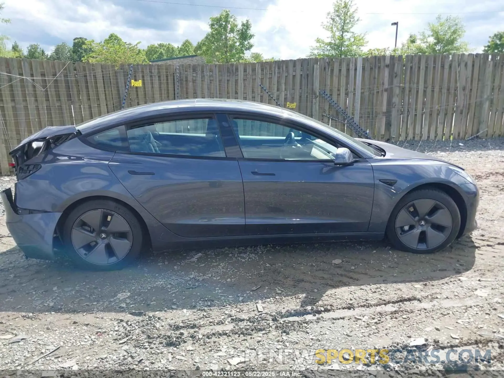 13 fotografías del automóvil dañado 5YJ3E1EA4PF515844 TESLA MODEL 3 2023