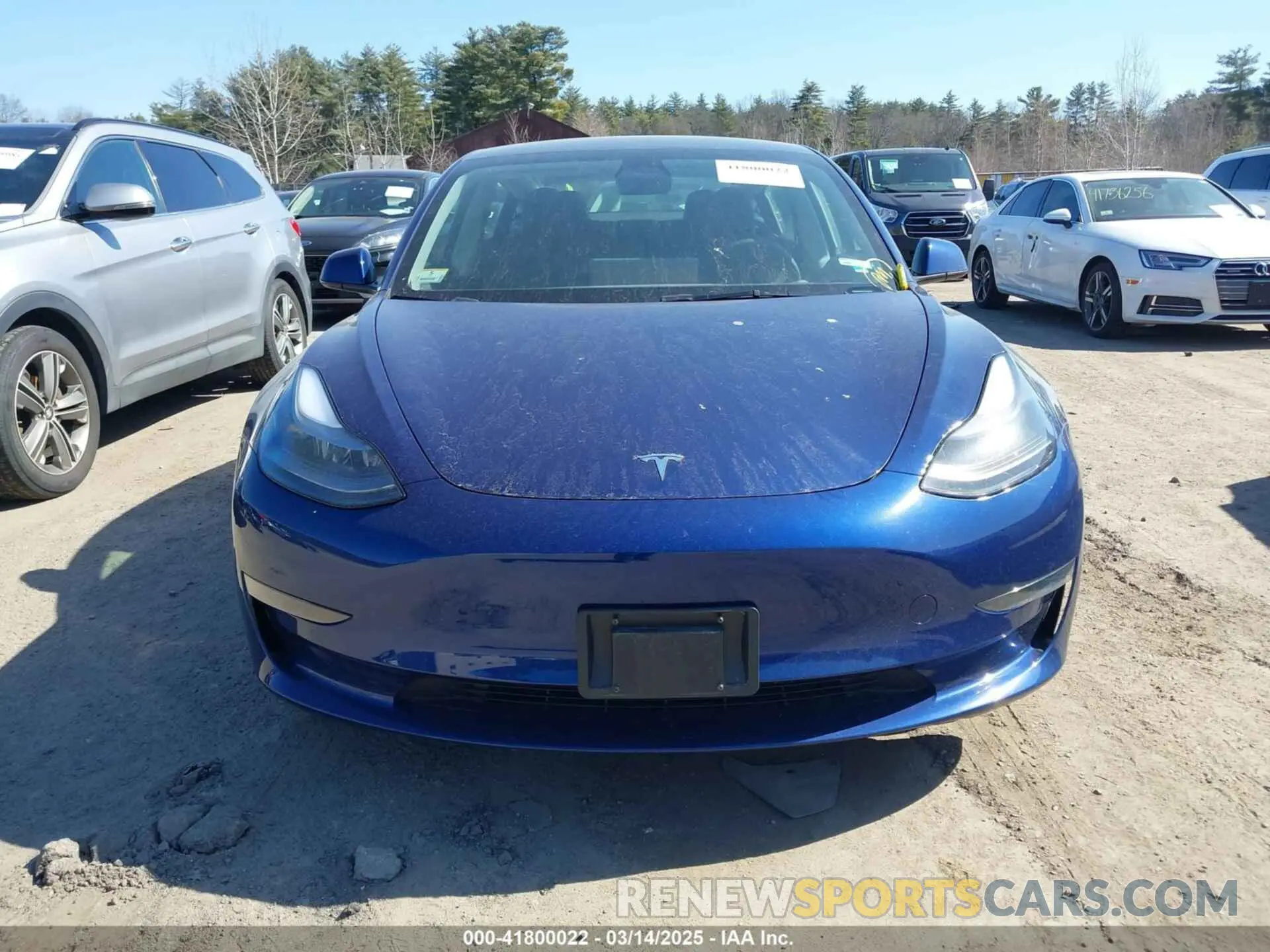 12 fotografías del automóvil dañado 5YJ3E1EA4PF554837 TESLA MODEL 3 2023