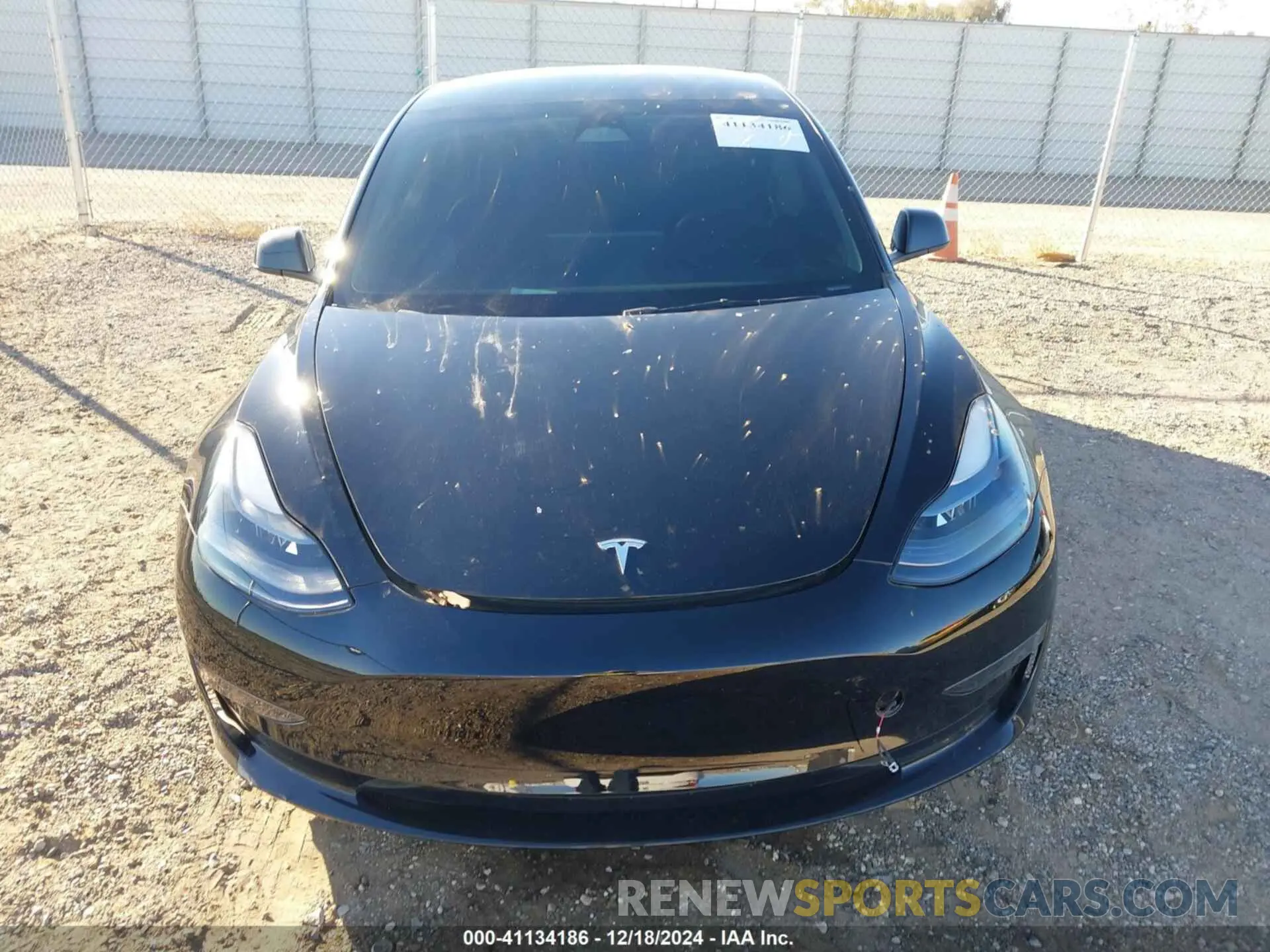 13 fotografías del automóvil dañado 5YJ3E1EA4PF555275 TESLA MODEL 3 2023