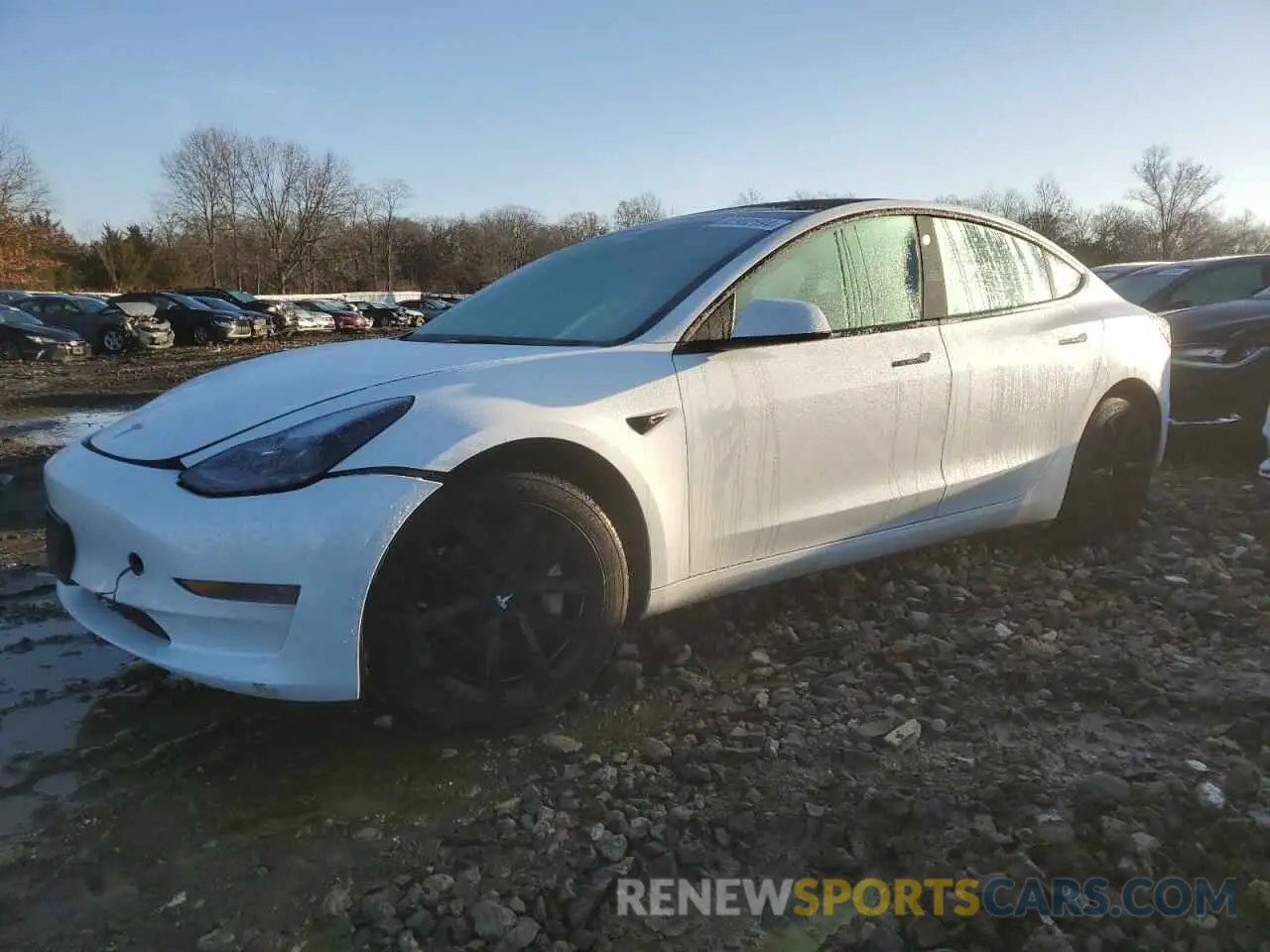1 fotografías del automóvil dañado 5YJ3E1EA4PF556071 TESLA MODEL 3 2023