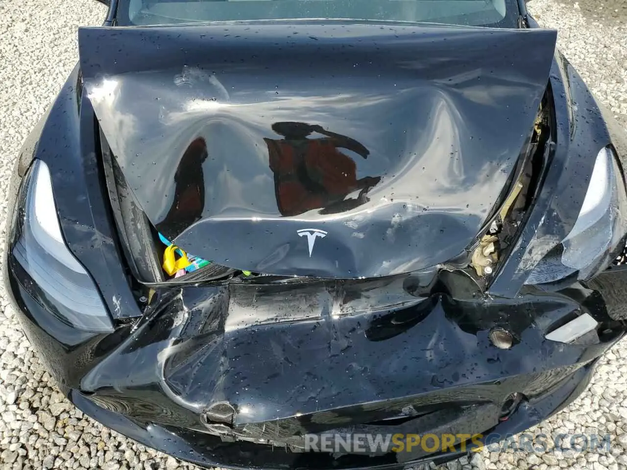 11 fotografías del automóvil dañado 5YJ3E1EA4PF559424 TESLA MODEL 3 2023