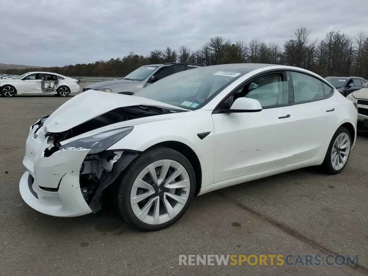 1 fotografías del automóvil dañado 5YJ3E1EA4PF569399 TESLA MODEL 3 2023