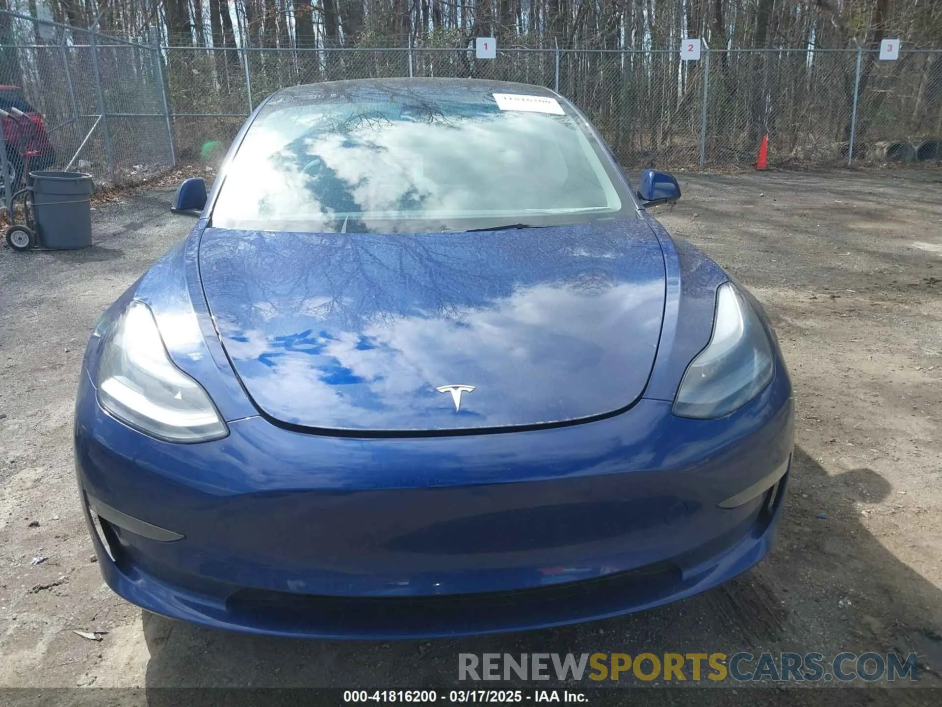 11 fotografías del automóvil dañado 5YJ3E1EA4PF581441 TESLA MODEL 3 2023