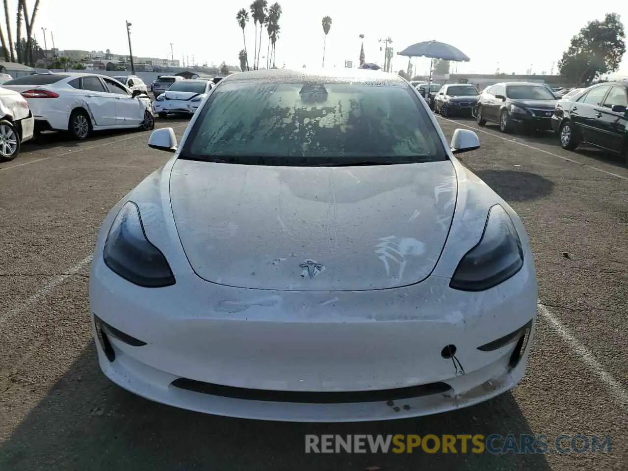 5 fotografías del automóvil dañado 5YJ3E1EA4PF581973 TESLA MODEL 3 2023