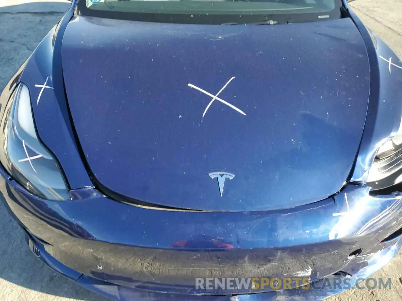 12 fotografías del automóvil dañado 5YJ3E1EA4PF590415 TESLA MODEL 3 2023
