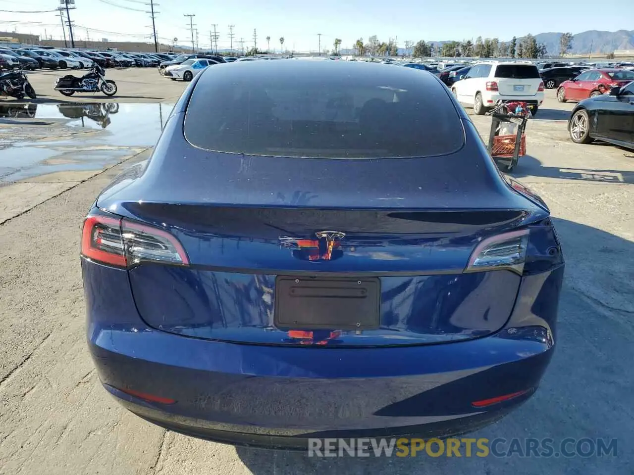 6 fotografías del automóvil dañado 5YJ3E1EA4PF590415 TESLA MODEL 3 2023