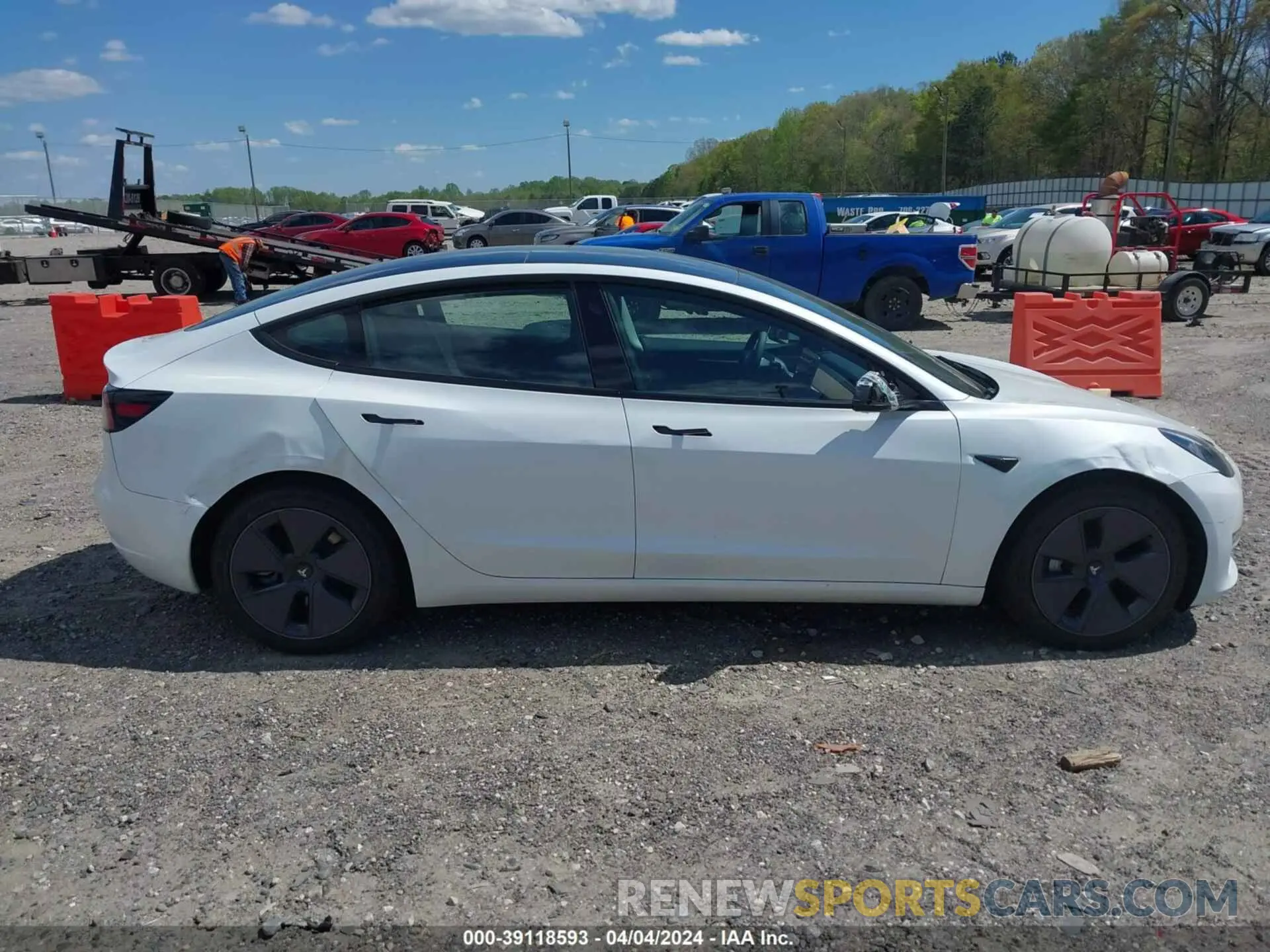 12 fotografías del automóvil dañado 5YJ3E1EA4PF599602 TESLA MODEL 3 2023