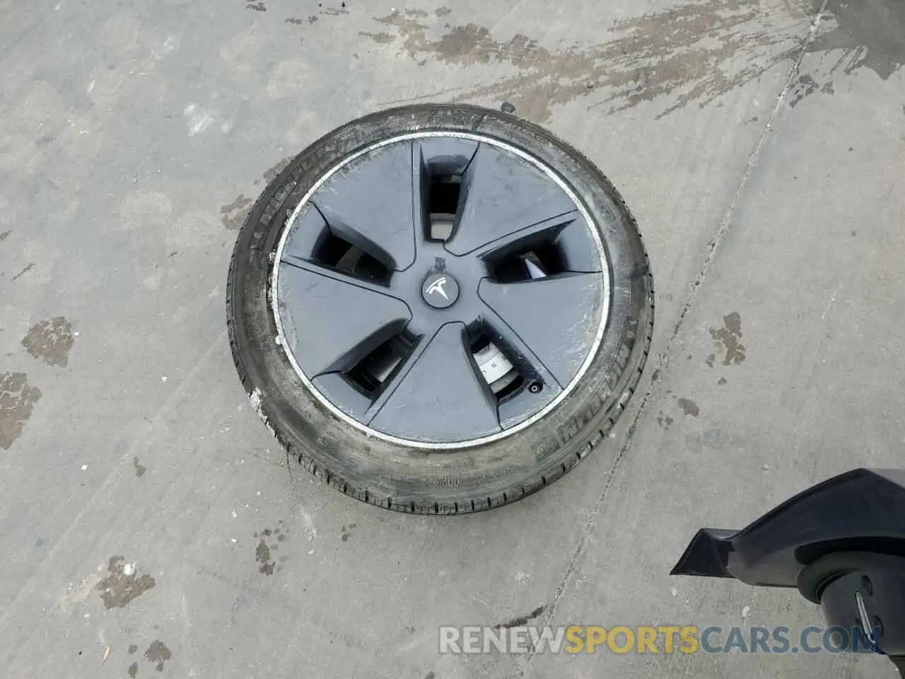 12 fotografías del automóvil dañado 5YJ3E1EA4PF612106 TESLA MODEL 3 2023