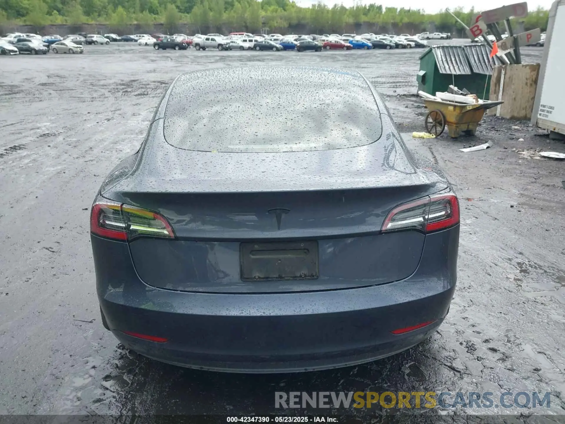 16 fotografías del automóvil dañado 5YJ3E1EA5PF384620 TESLA MODEL 3 2023
