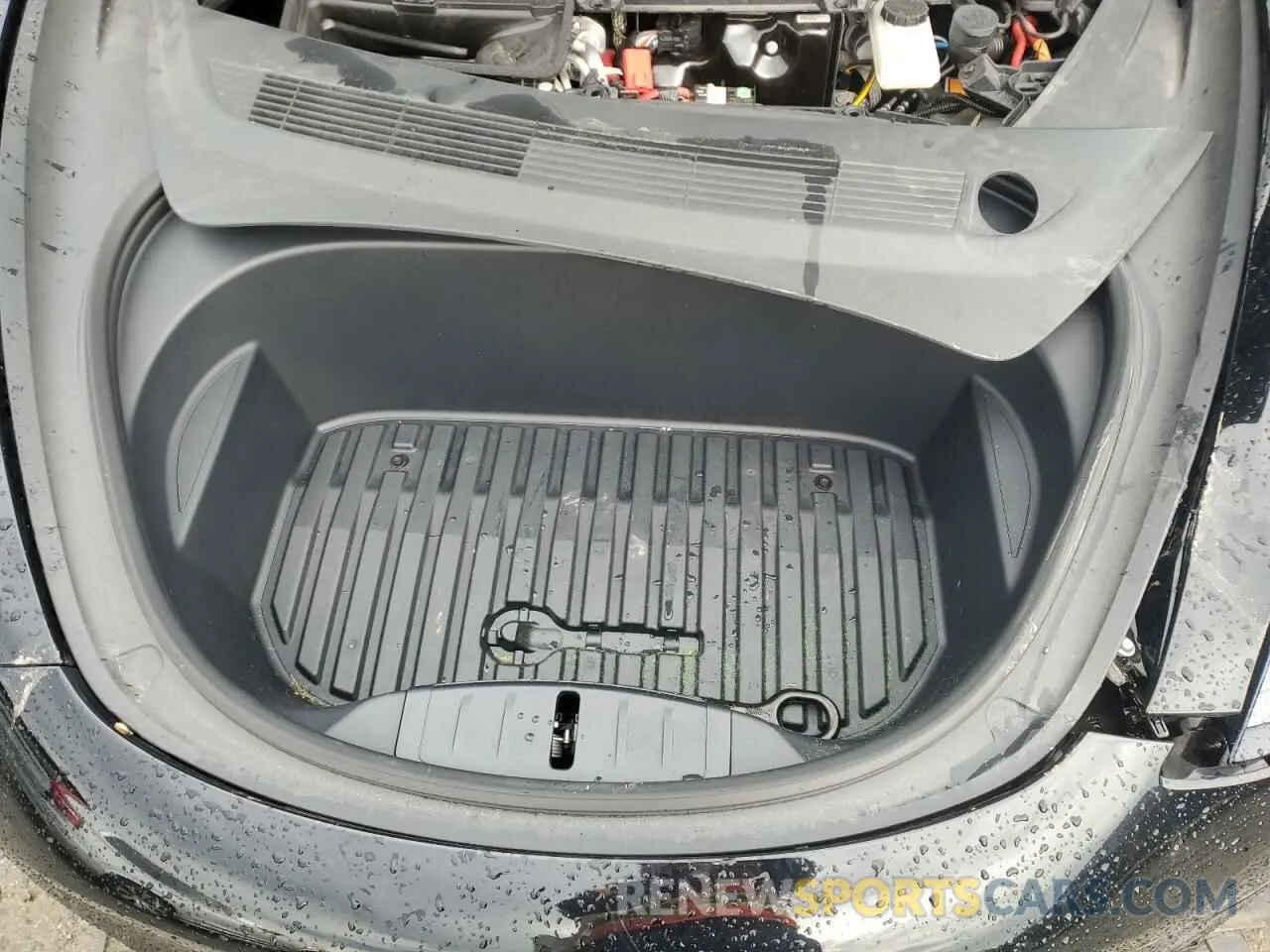 12 fotografías del automóvil dañado 5YJ3E1EA5PF466881 TESLA MODEL 3 2023