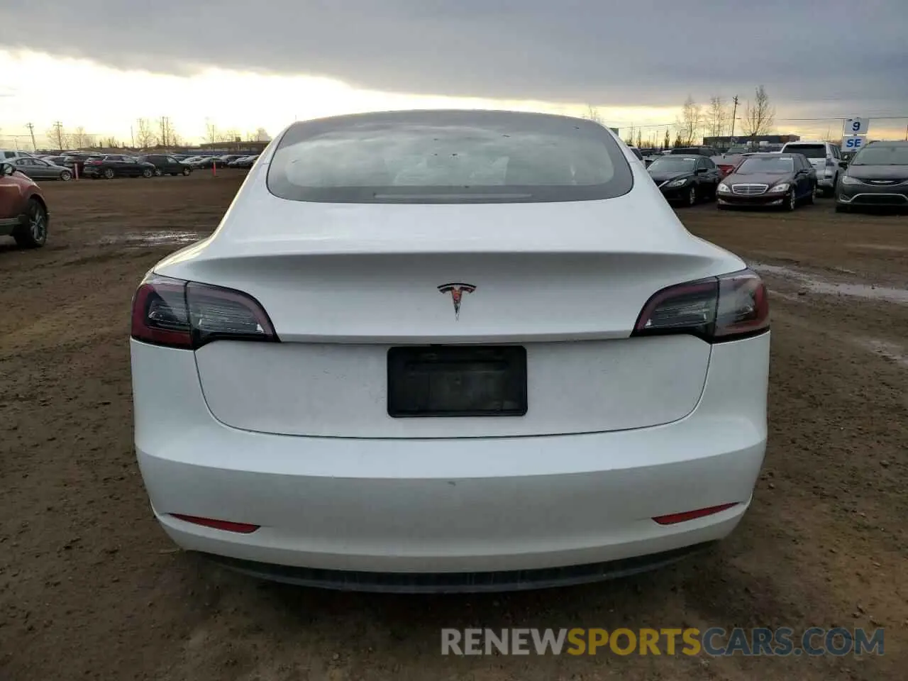 6 fotografías del automóvil dañado 5YJ3E1EA5PF484801 TESLA MODEL 3 2023