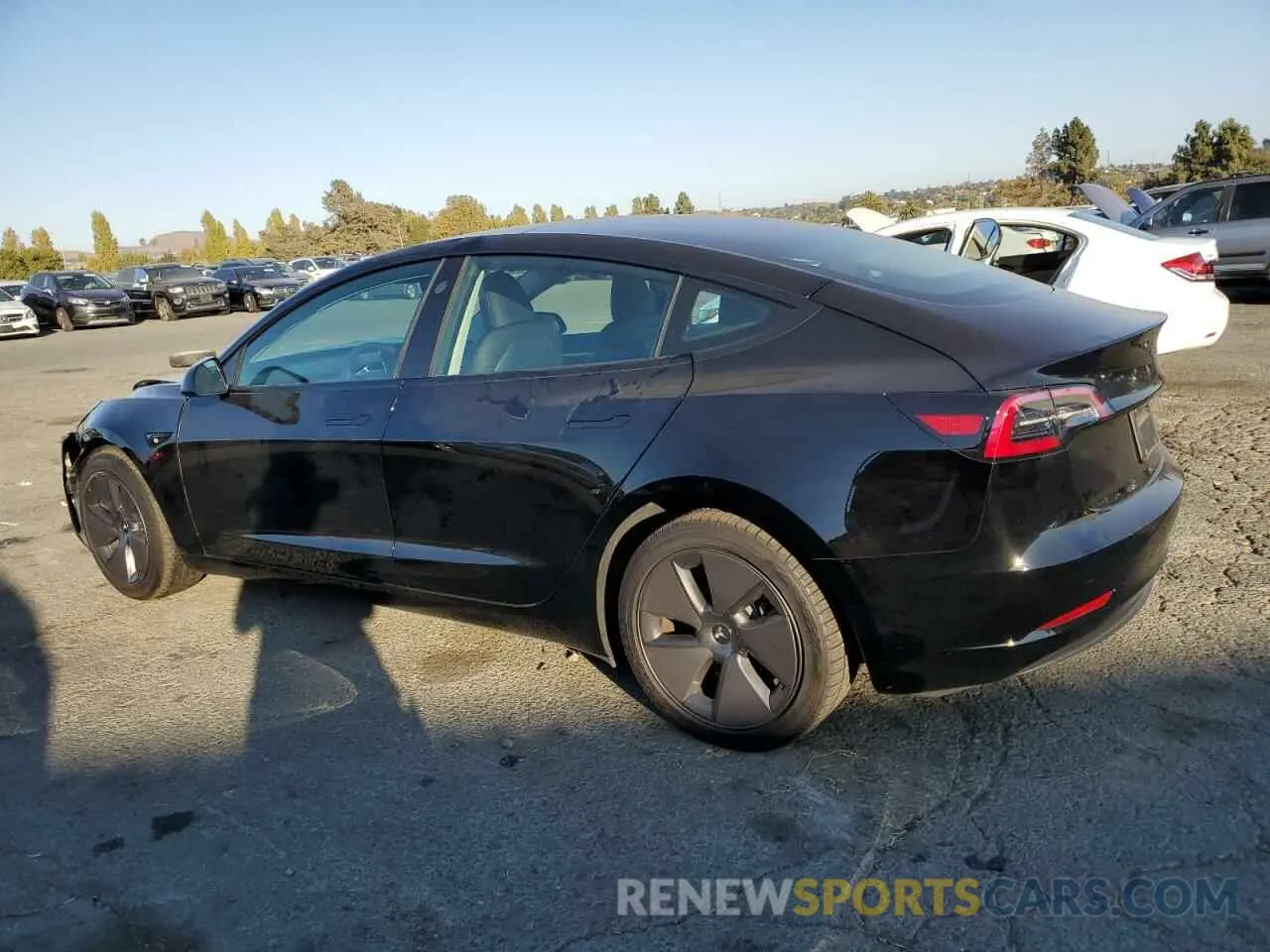 2 fotografías del automóvil dañado 5YJ3E1EA5PF487049 TESLA MODEL 3 2023