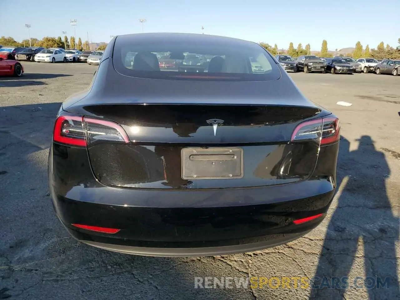 6 fotografías del automóvil dañado 5YJ3E1EA5PF487049 TESLA MODEL 3 2023