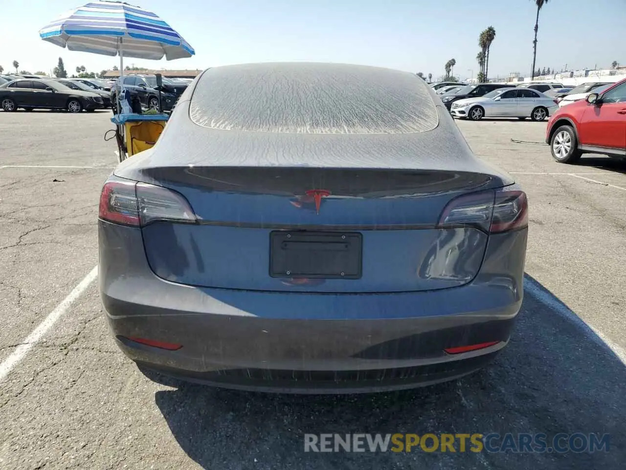 6 fotografías del automóvil dañado 5YJ3E1EA5PF497371 TESLA MODEL 3 2023