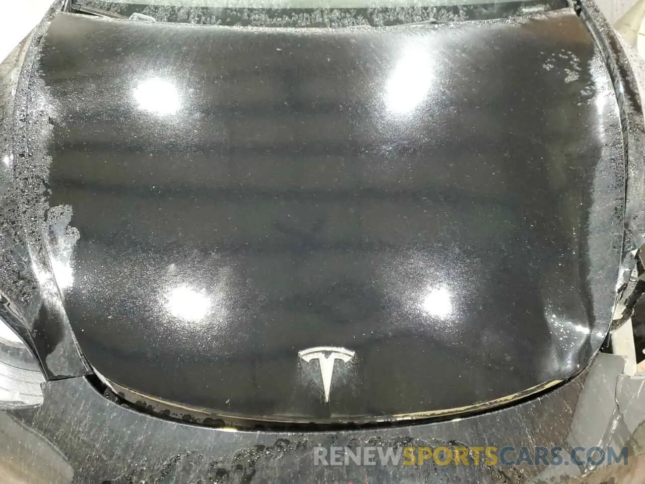 11 fotografías del automóvil dañado 5YJ3E1EA5PF500673 TESLA MODEL 3 2023