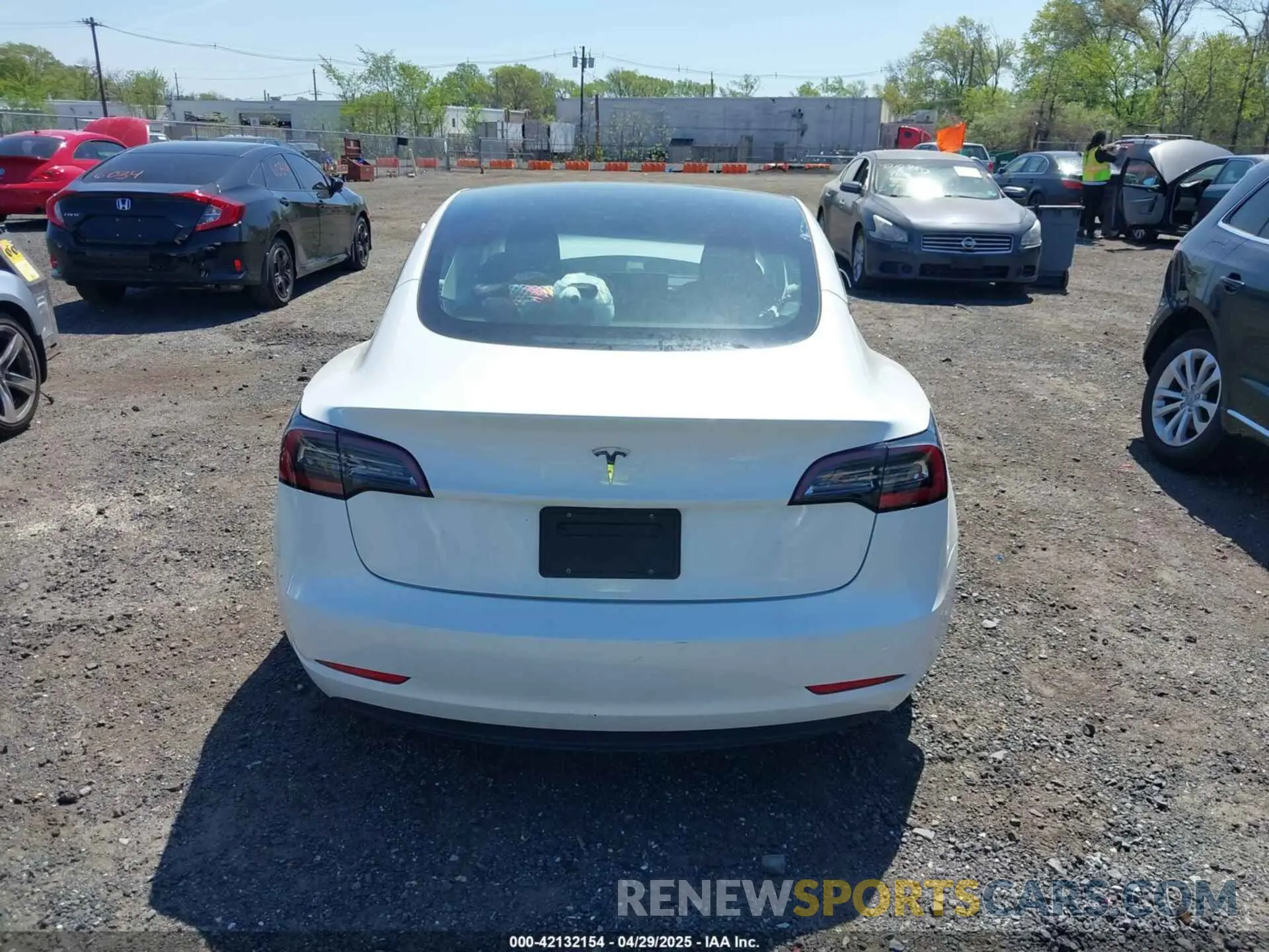 16 fotografías del automóvil dañado 5YJ3E1EA5PF553275 TESLA MODEL 3 2023