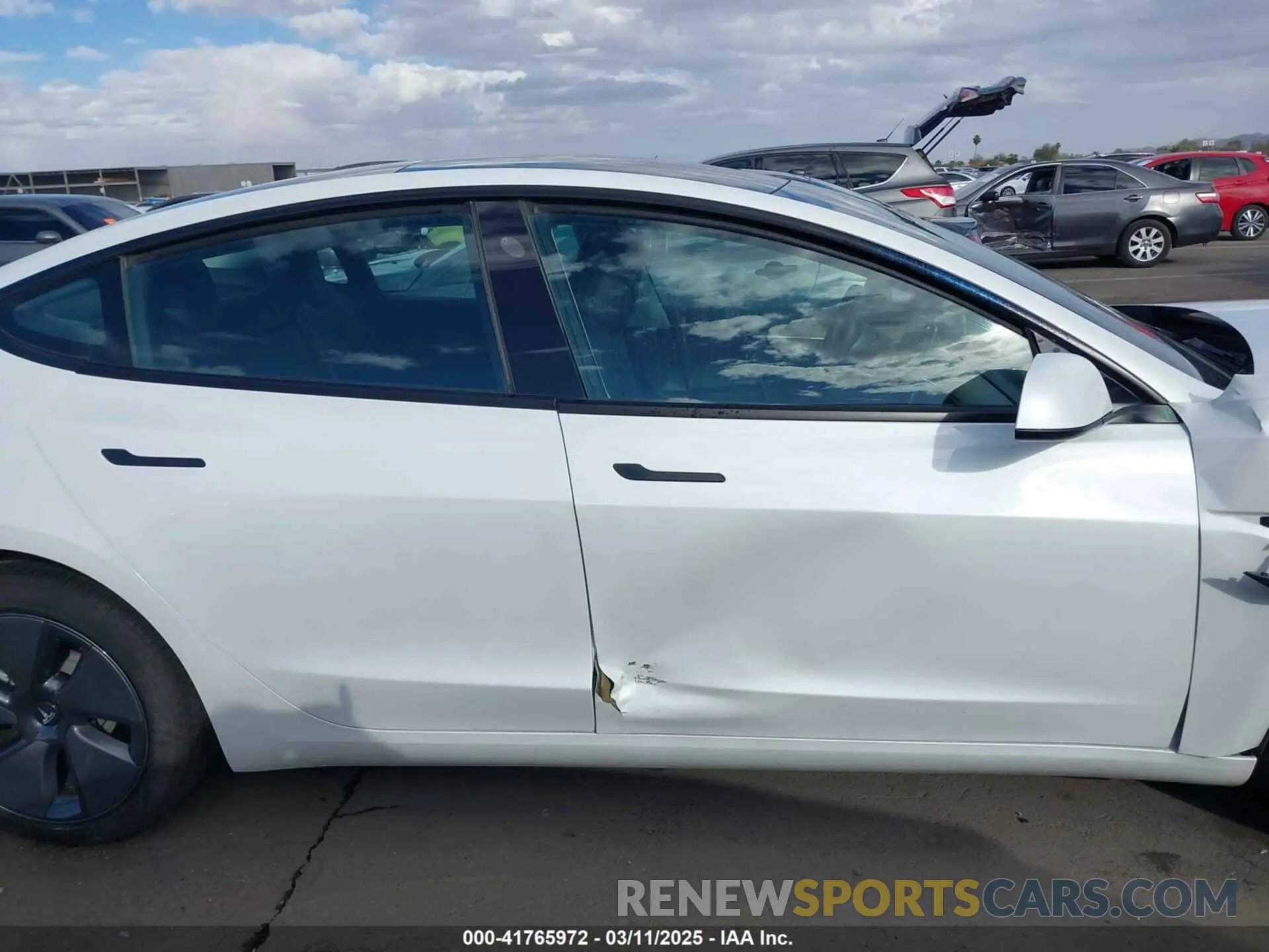 13 fotografías del automóvil dañado 5YJ3E1EA5PF554510 TESLA MODEL 3 2023