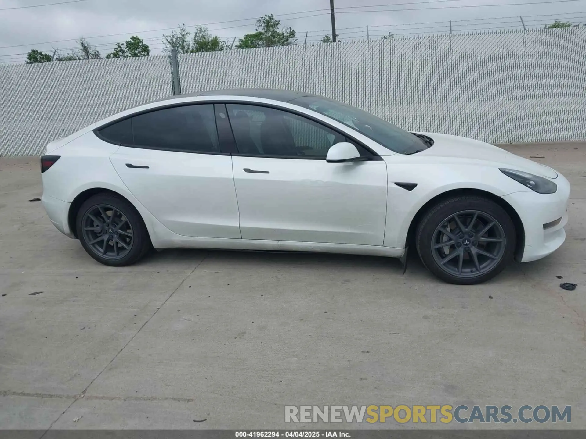13 fotografías del automóvil dañado 5YJ3E1EA5PF556645 TESLA MODEL 3 2023