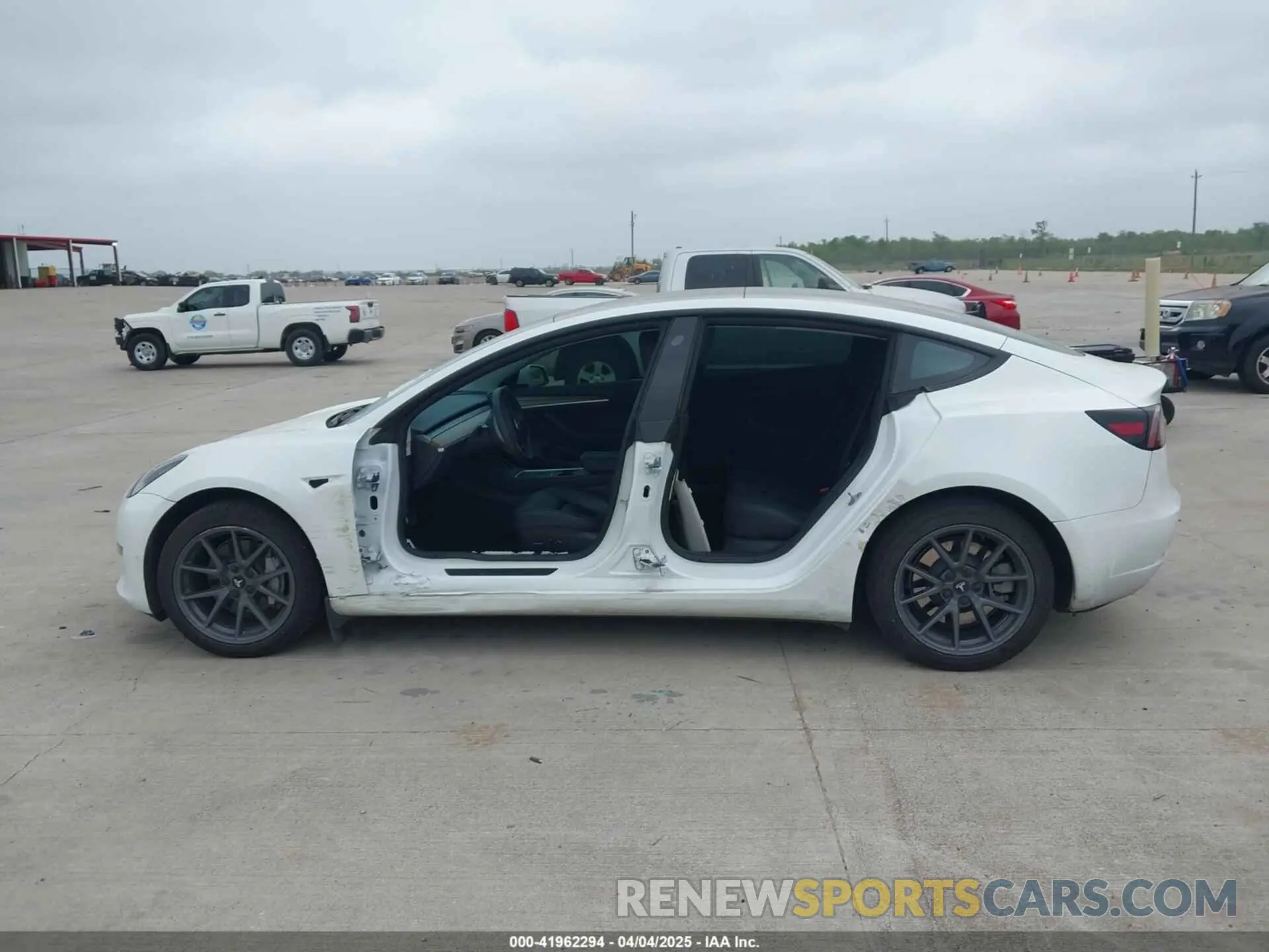 14 fotografías del automóvil dañado 5YJ3E1EA5PF556645 TESLA MODEL 3 2023