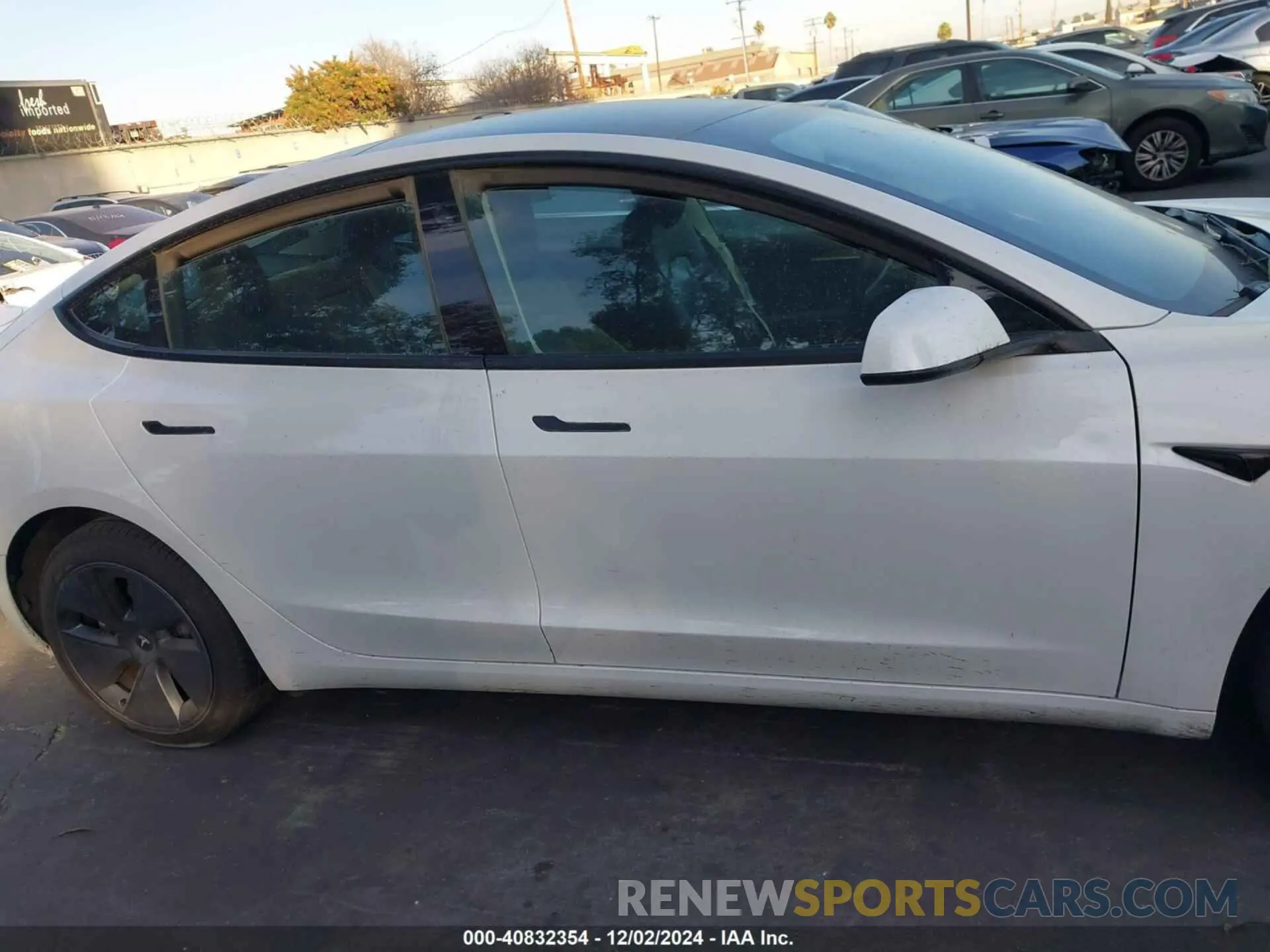 12 fotografías del automóvil dañado 5YJ3E1EA5PF572425 TESLA MODEL 3 2023