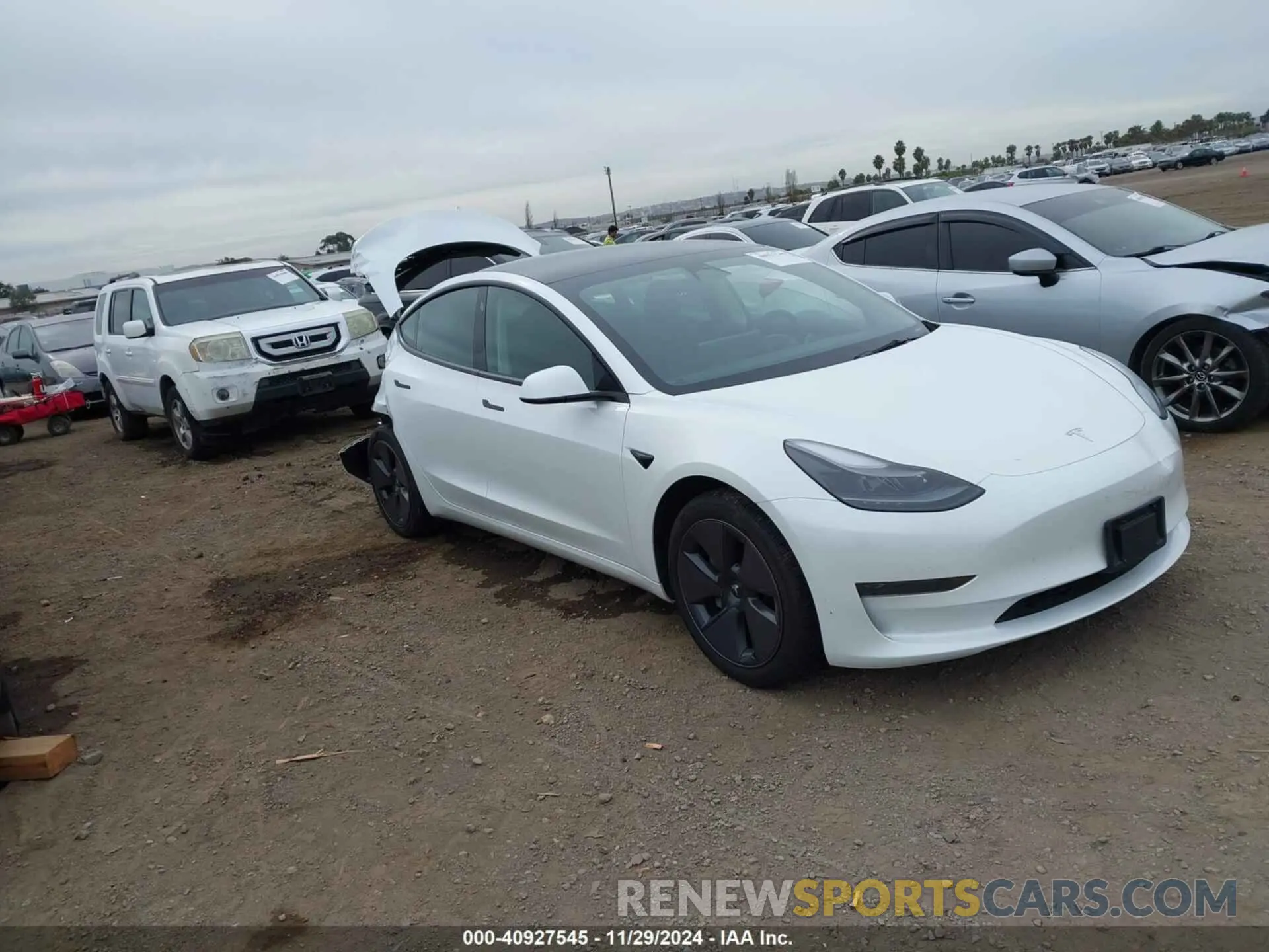 1 fotografías del automóvil dañado 5YJ3E1EA5PF574689 TESLA MODEL 3 2023
