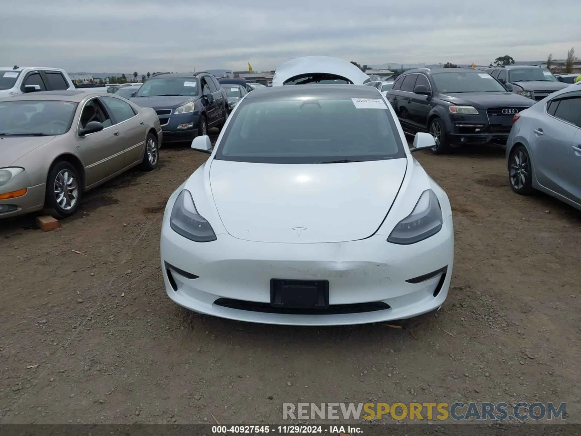 12 fotografías del automóvil dañado 5YJ3E1EA5PF574689 TESLA MODEL 3 2023