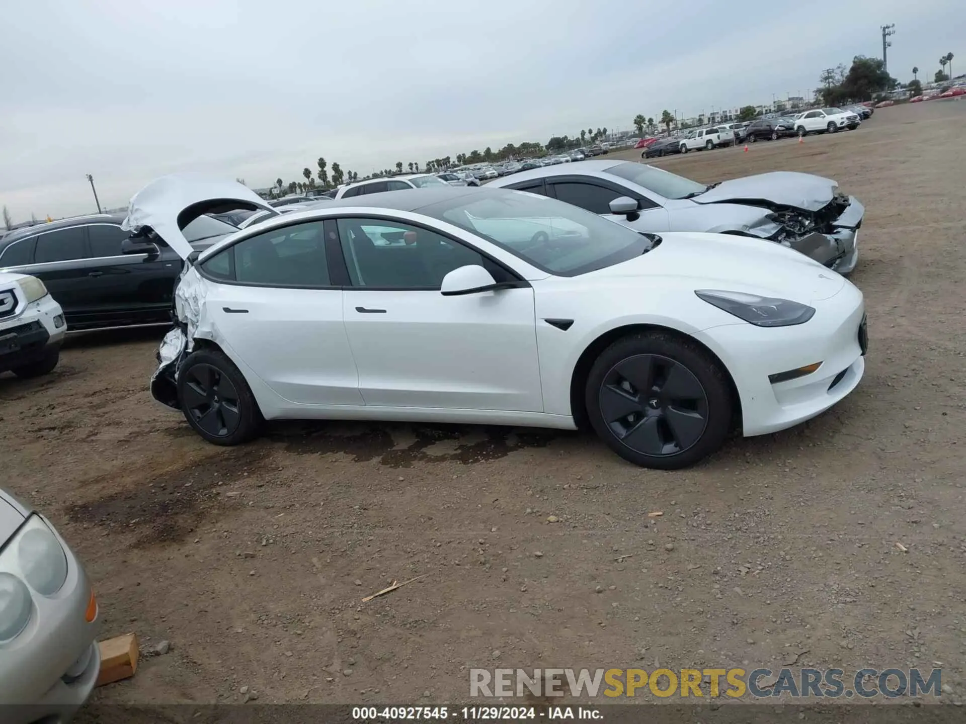 13 fotografías del automóvil dañado 5YJ3E1EA5PF574689 TESLA MODEL 3 2023