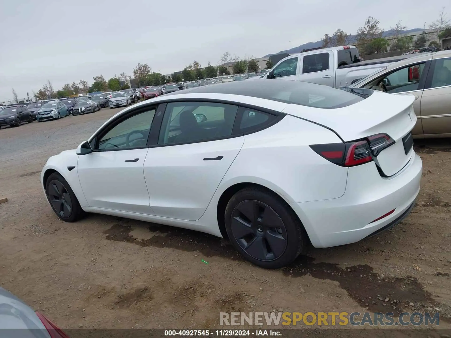 14 fotografías del automóvil dañado 5YJ3E1EA5PF574689 TESLA MODEL 3 2023
