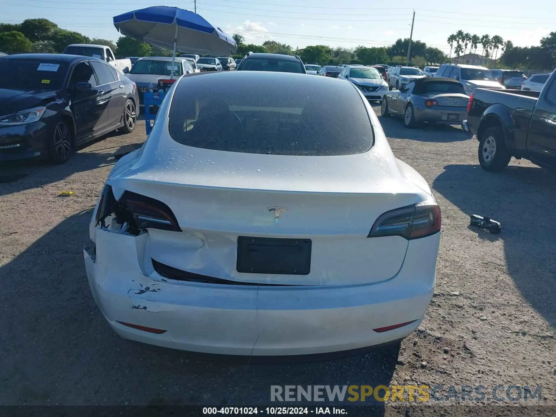 17 fotografías del automóvil dañado 5YJ3E1EA5PF575762 TESLA MODEL 3 2023