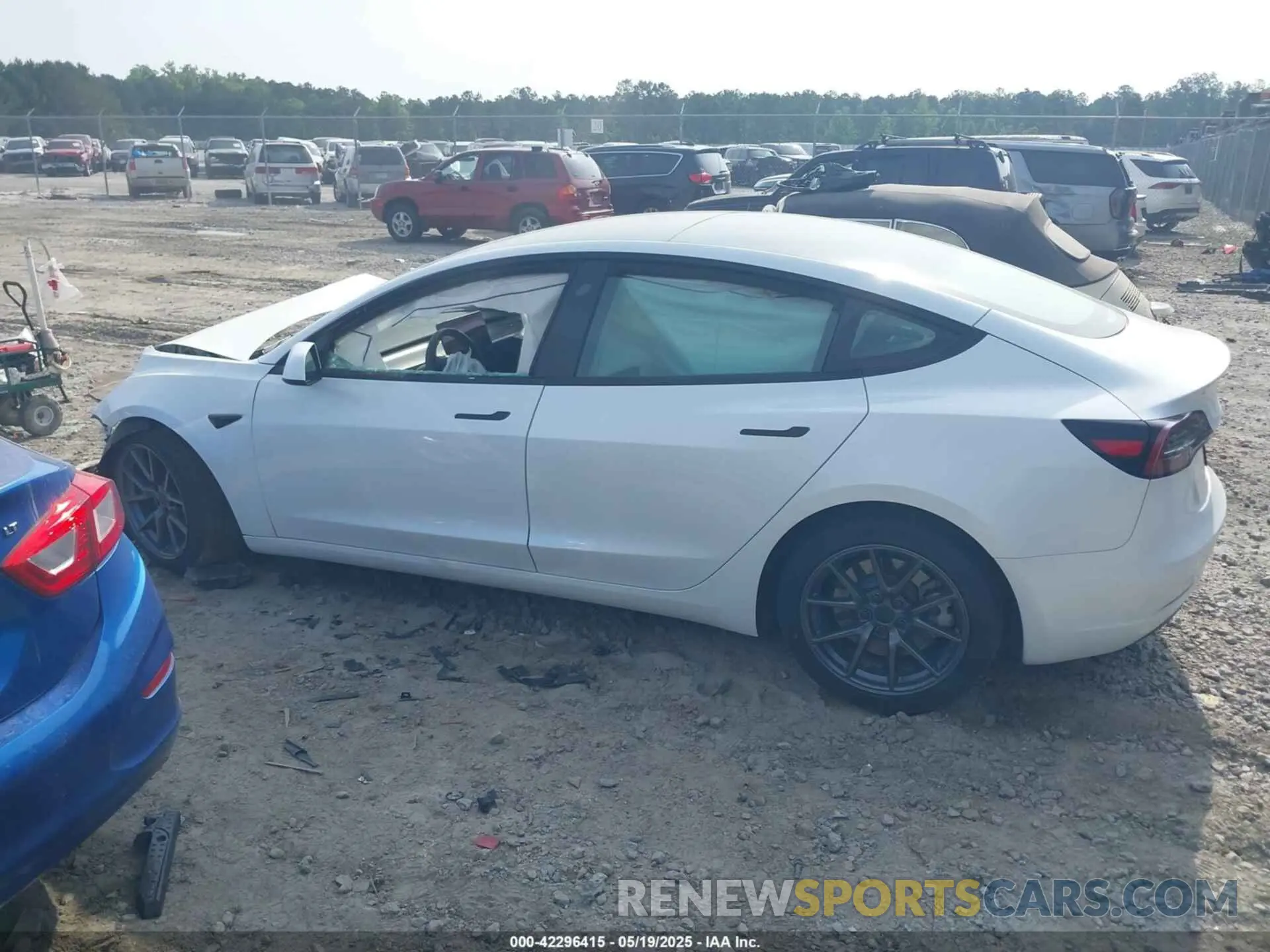 13 fotografías del automóvil dañado 5YJ3E1EA5PF599575 TESLA MODEL 3 2023