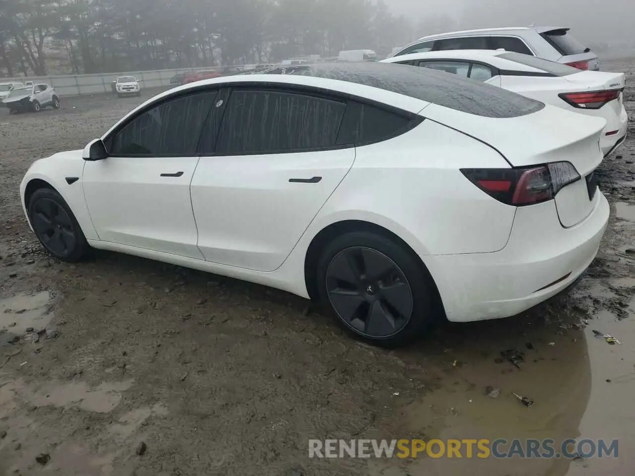 2 fotografías del automóvil dañado 5YJ3E1EA5PF602314 TESLA MODEL 3 2023