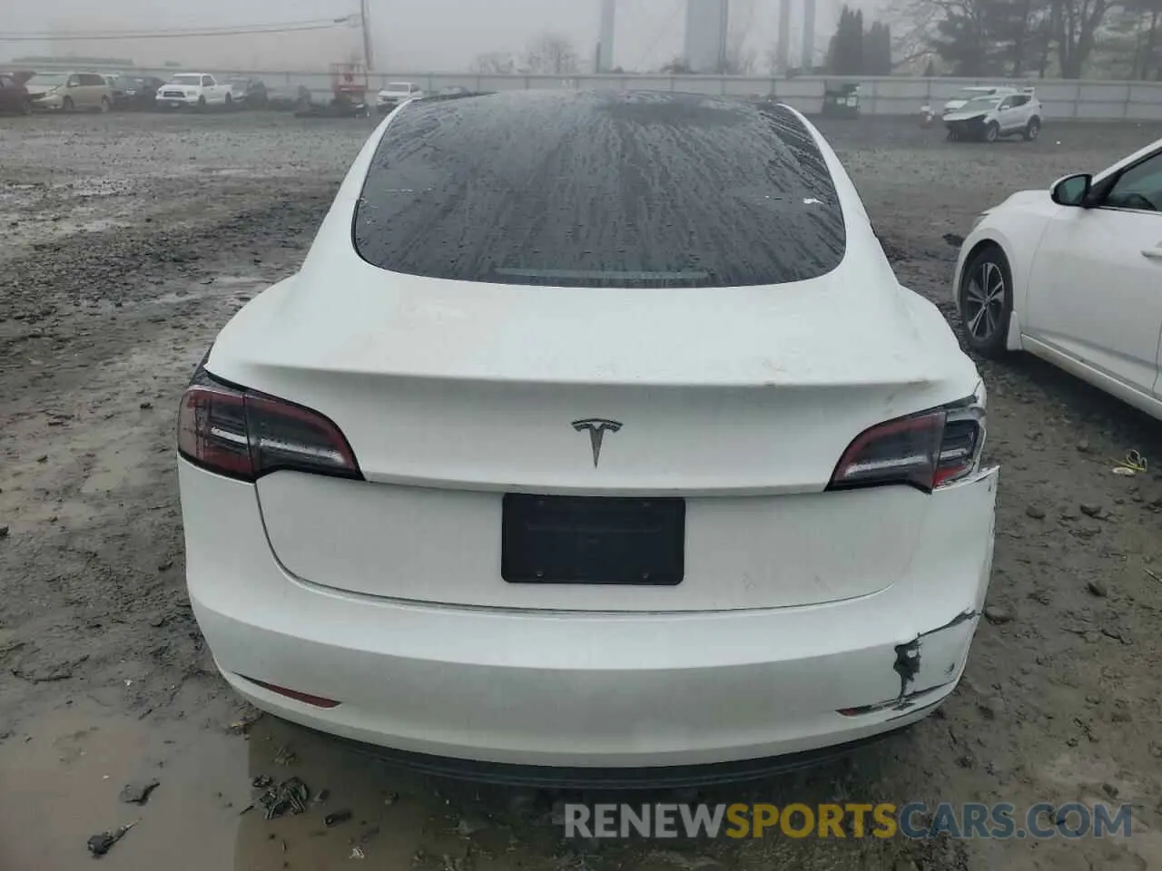 6 fotografías del automóvil dañado 5YJ3E1EA5PF602314 TESLA MODEL 3 2023