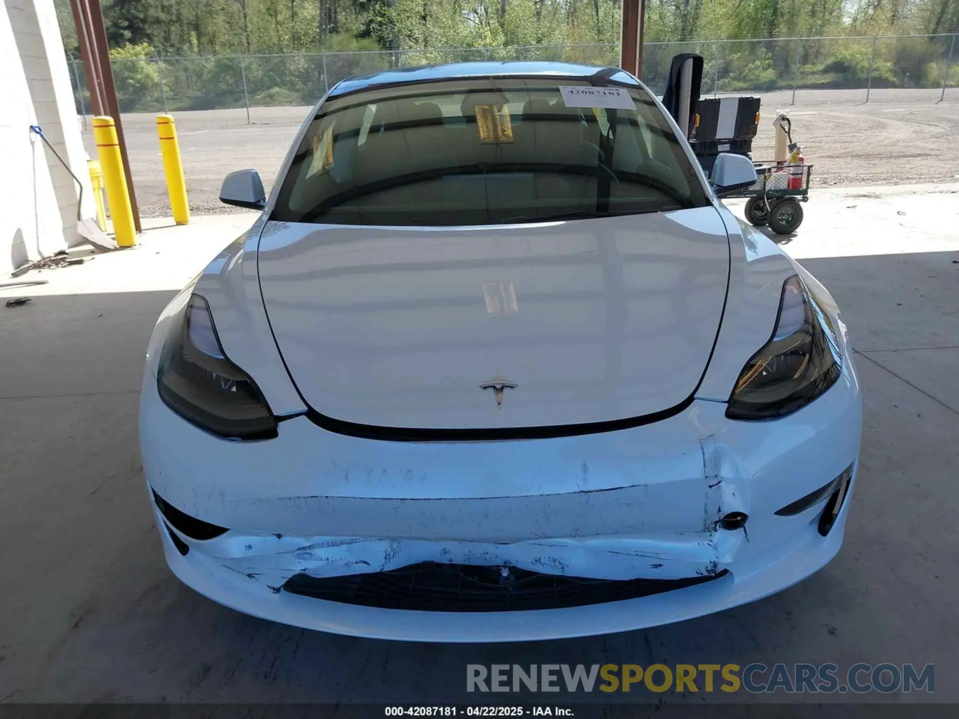 11 fotografías del automóvil dañado 5YJ3E1EA5PF610431 TESLA MODEL 3 2023