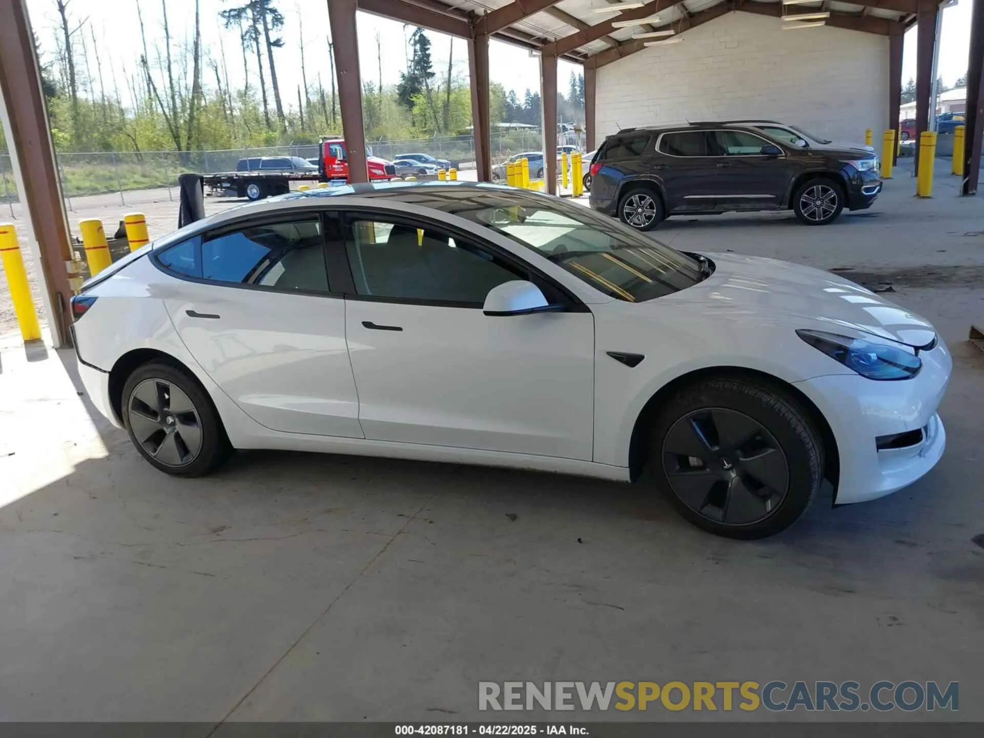 12 fotografías del automóvil dañado 5YJ3E1EA5PF610431 TESLA MODEL 3 2023