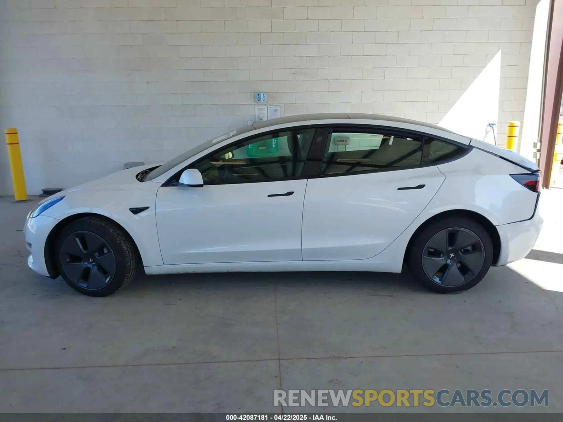 13 fotografías del automóvil dañado 5YJ3E1EA5PF610431 TESLA MODEL 3 2023