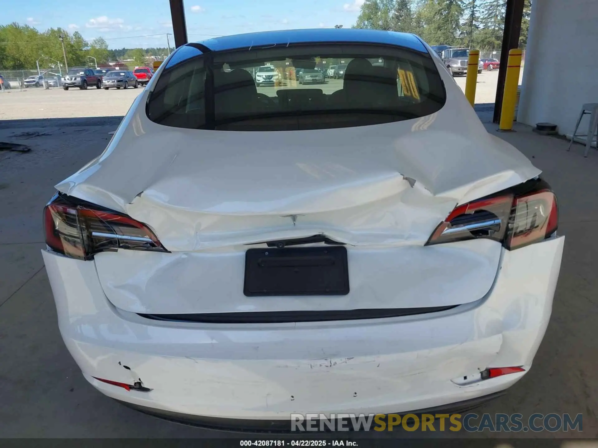 6 fotografías del automóvil dañado 5YJ3E1EA5PF610431 TESLA MODEL 3 2023