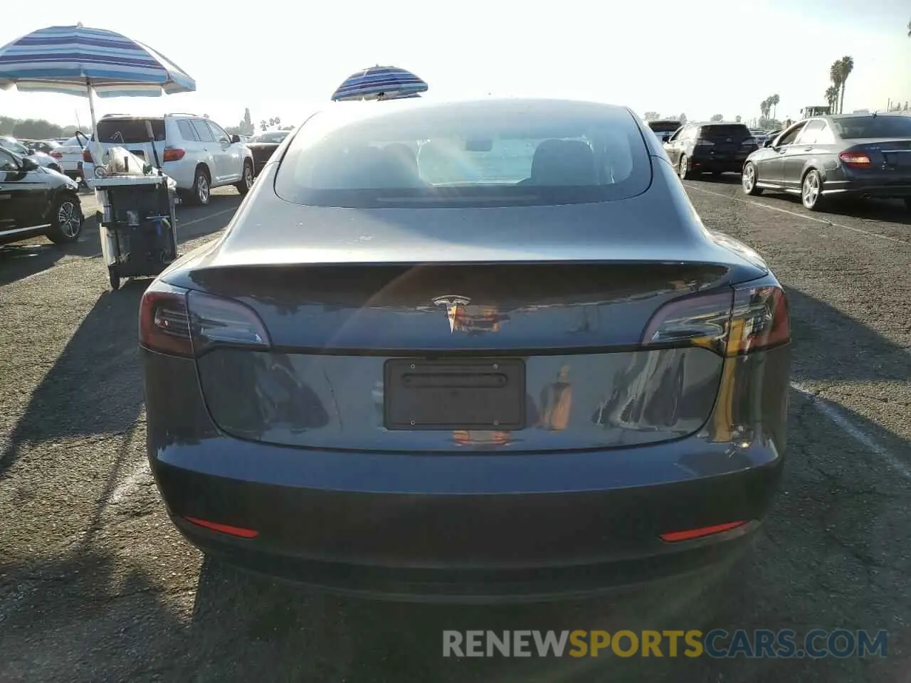 6 fotografías del automóvil dañado 5YJ3E1EA5PF646118 TESLA MODEL 3 2023