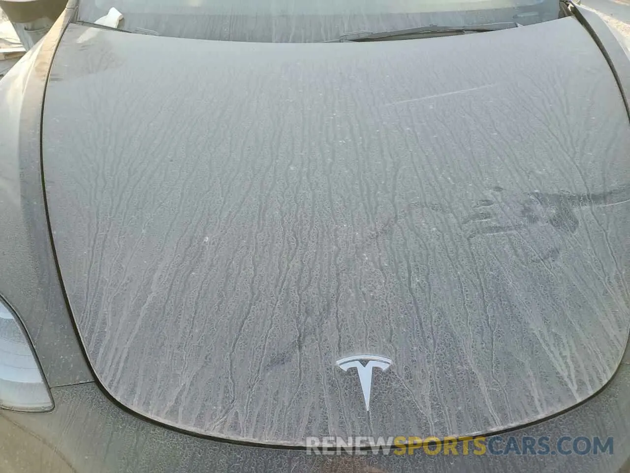 11 fotografías del automóvil dañado 5YJ3E1EA5PF655403 TESLA MODEL 3 2023