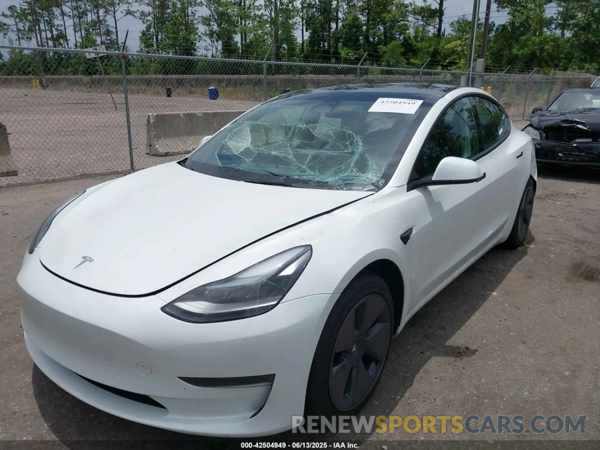 6 fotografías del automóvil dañado 5YJ3E1EA5PF663176 TESLA MODEL 3 2023