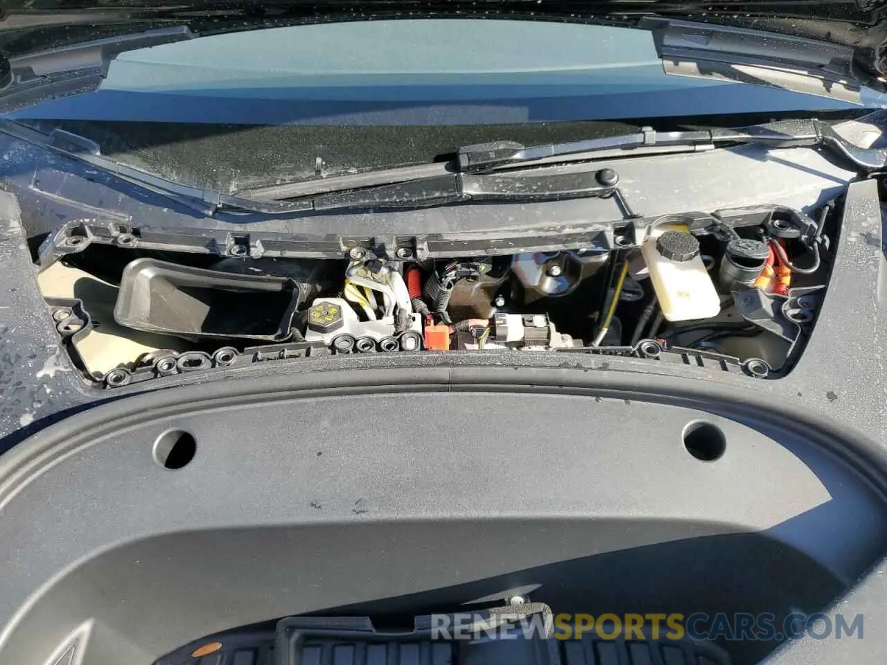 11 fotografías del automóvil dañado 5YJ3E1EA5PF670340 TESLA MODEL 3 2023