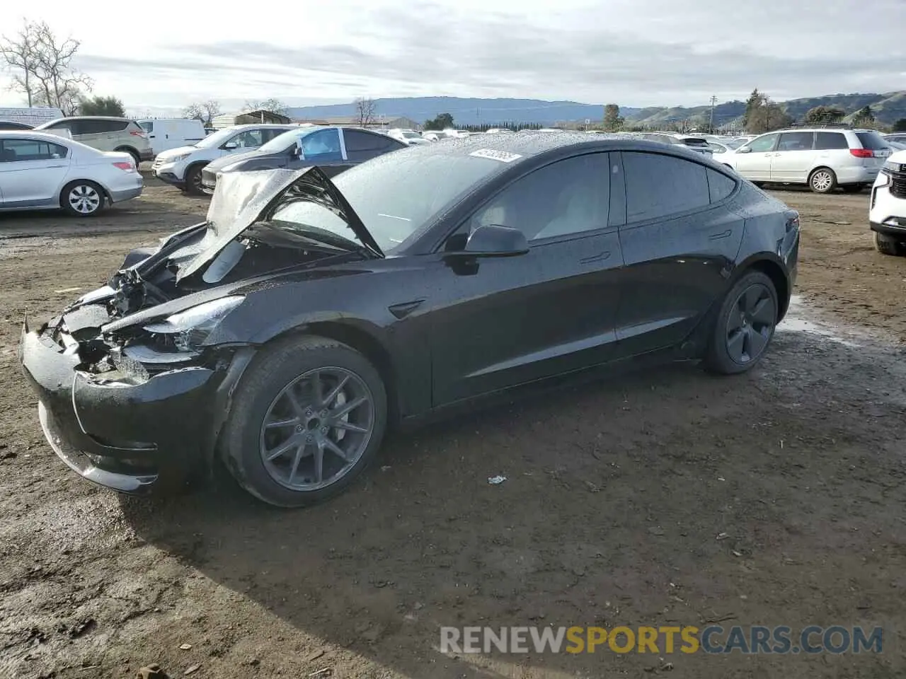 1 fotografías del automóvil dañado 5YJ3E1EA5PF695044 TESLA MODEL 3 2023