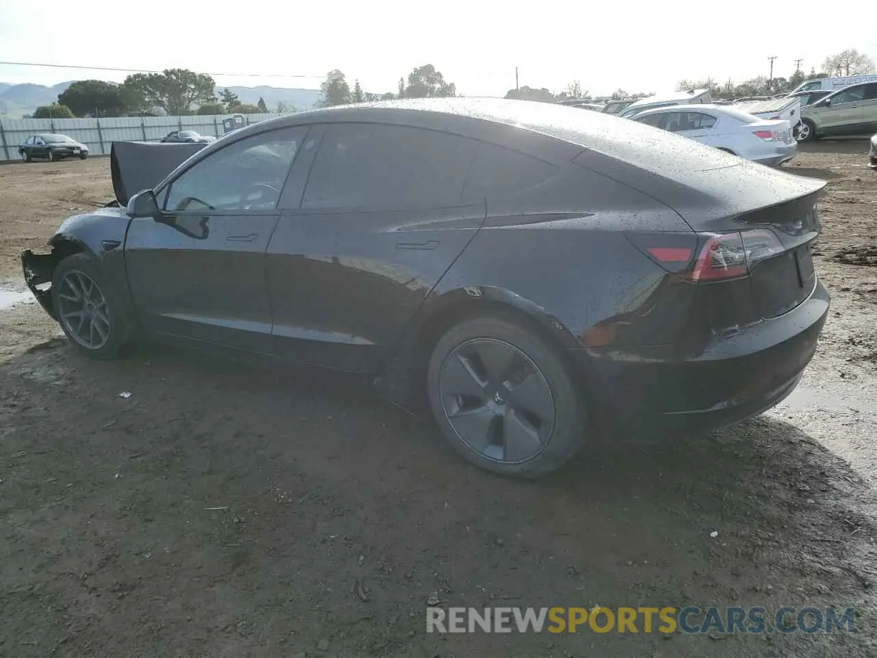 2 fotografías del automóvil dañado 5YJ3E1EA5PF695044 TESLA MODEL 3 2023