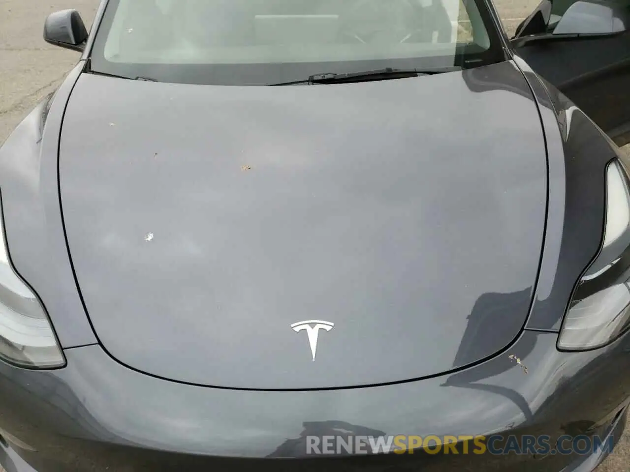 12 fotografías del automóvil dañado 5YJ3E1EA5PF705359 TESLA MODEL 3 2023