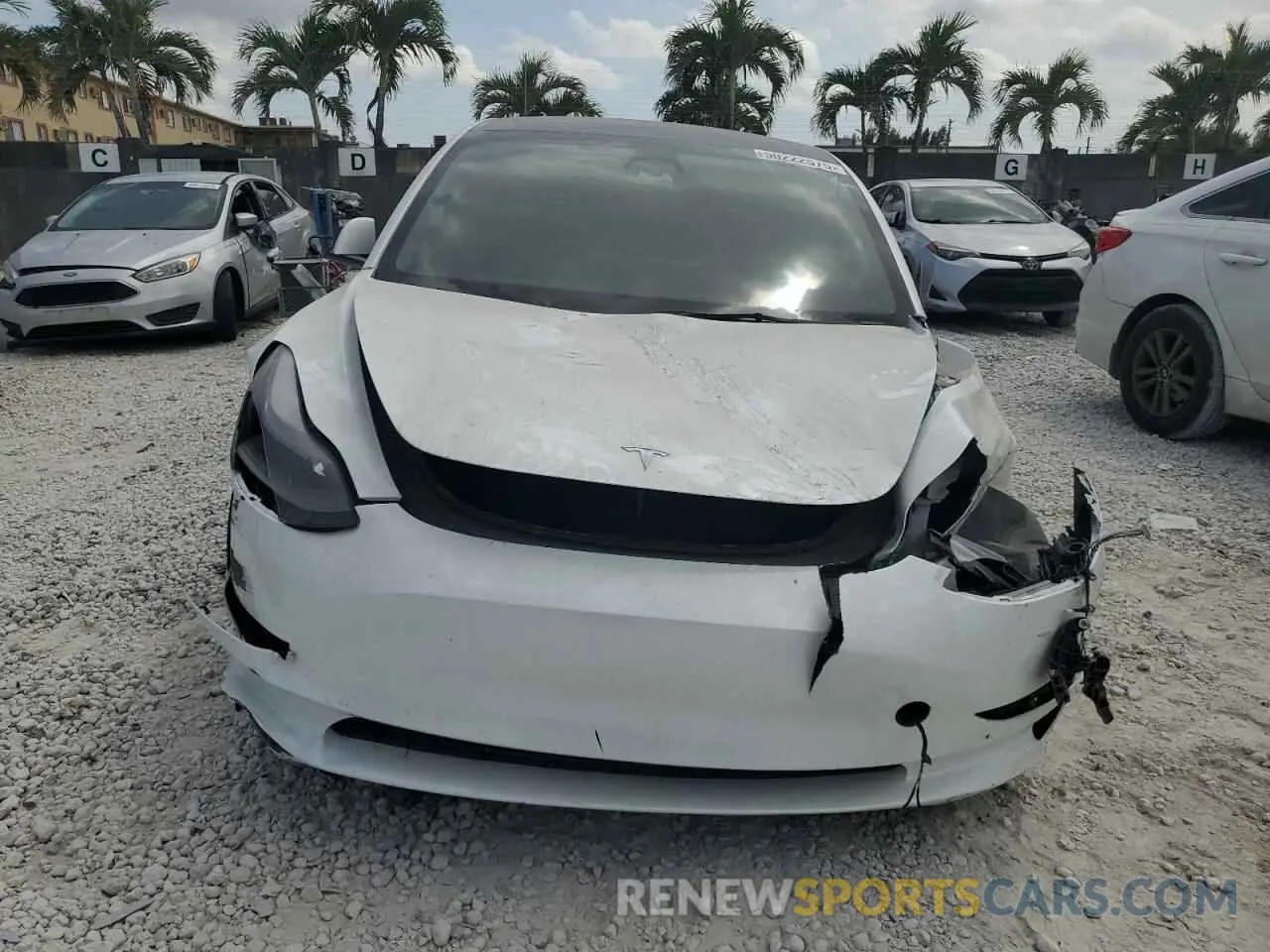 5 fotografías del automóvil dañado 5YJ3E1EA6PF429368 TESLA MODEL 3 2023