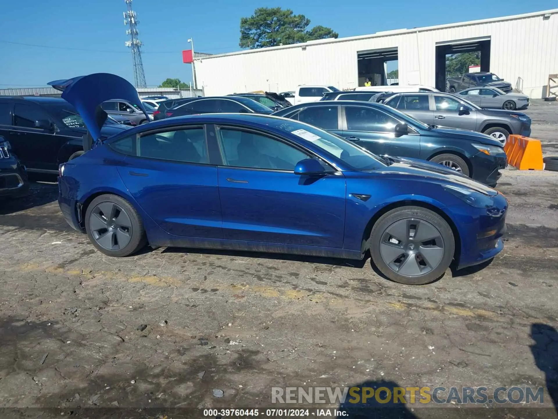 12 fotografías del automóvil dañado 5YJ3E1EA6PF436014 TESLA MODEL 3 2023