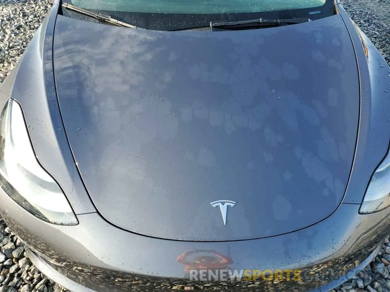 11 fotografías del automóvil dañado 5YJ3E1EA6PF436689 TESLA MODEL 3 2023